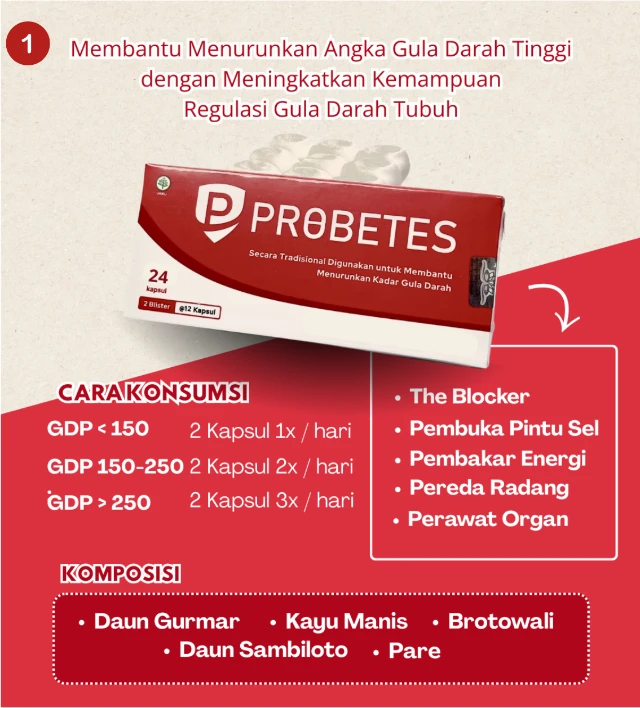 Bundling Herbal Probetes 1 Box + Program Remisi Probetes