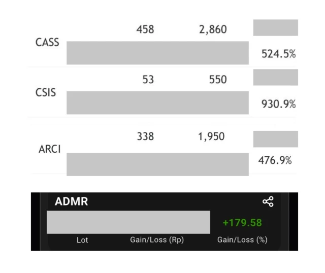 Portfolio riil Rian Earnfinc