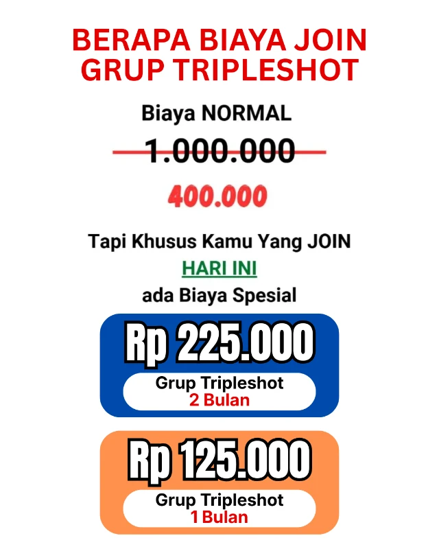 1778470124173-LP DIGIVEST (5)