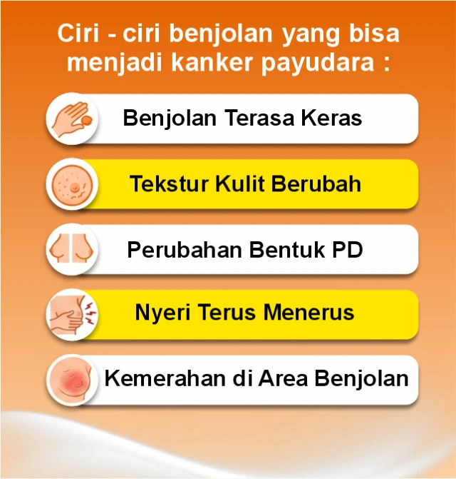 1778553820302-WhatsApp Image 2026-05-11 at 09.41.48 (2)