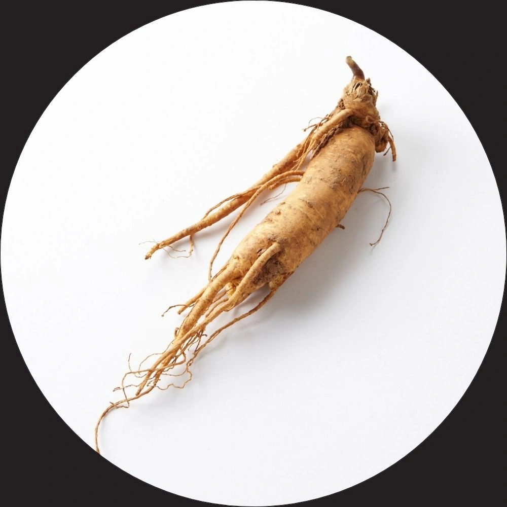 Ginseng