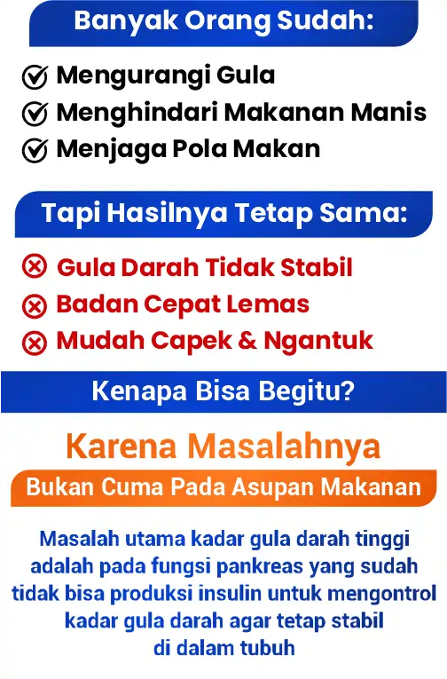 1778647829094-LP BIOSULIN 2 (2)