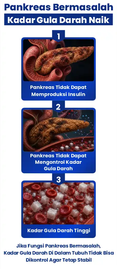 1778647867837-LP BIOSULIN 3 (1)