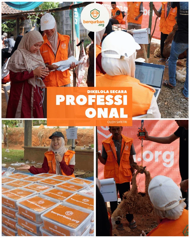 1778695906739-di kelola proffesional
