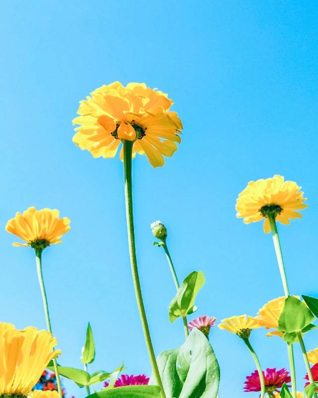 1778987651016-5.webp