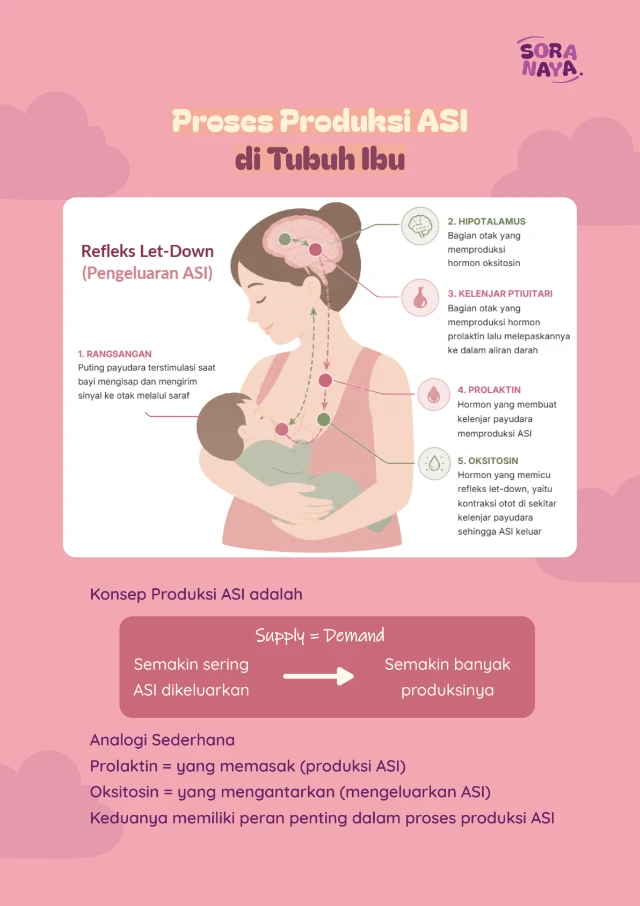 Konsep Produksi ASI