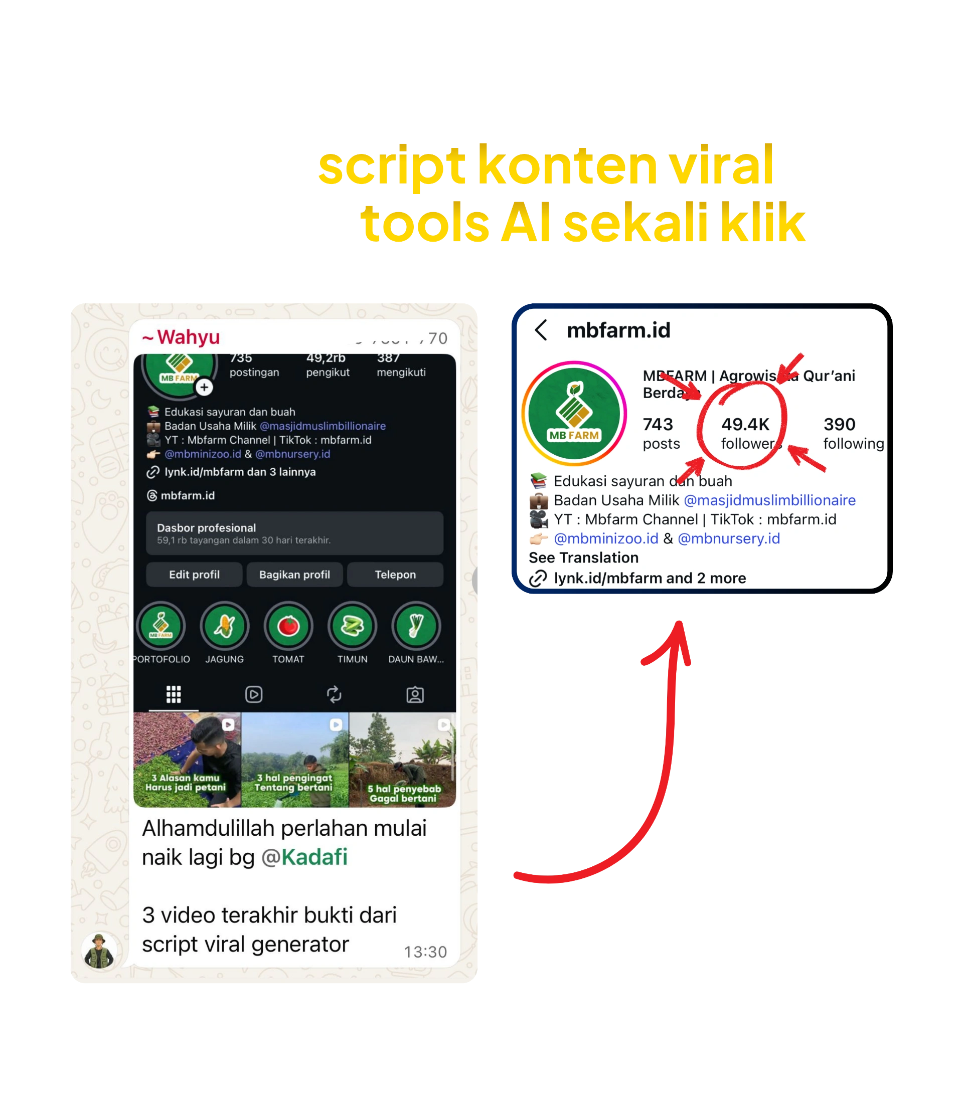 Testimoni 4