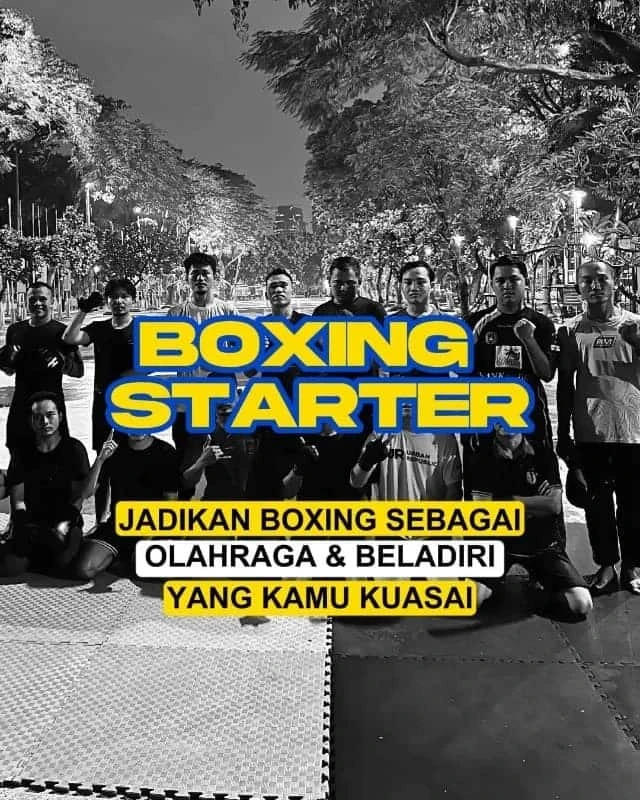 Boxing Starter